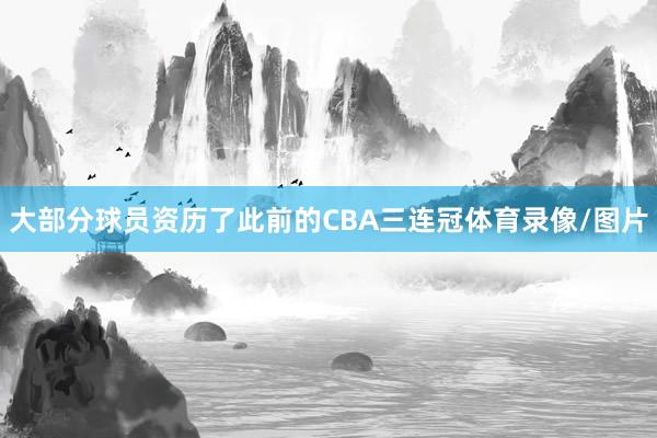 大部分球员资历了此前的CBA三连冠体育录像/图片