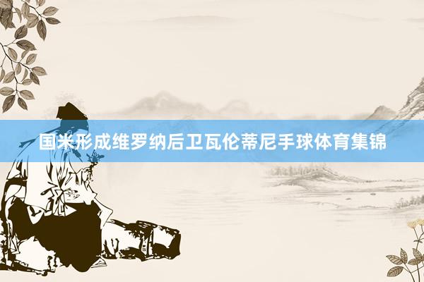 国米形成维罗纳后卫瓦伦蒂尼手球体育集锦