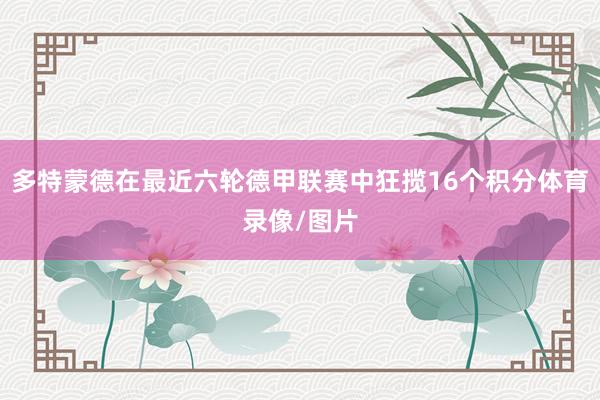 多特蒙德在最近六轮德甲联赛中狂揽16个积分体育录像/图片