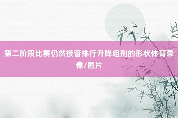 第二阶段比赛仍然接管排行升降组别的形状体育录像/图片