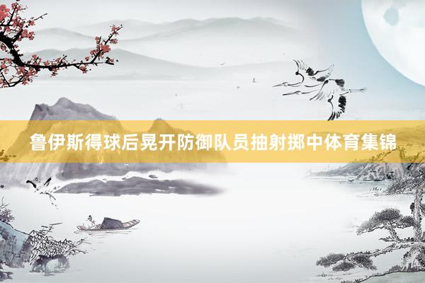 鲁伊斯得球后晃开防御队员抽射掷中体育集锦