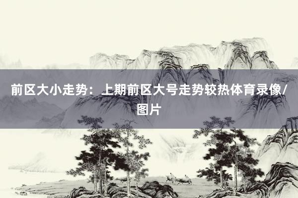 前区大小走势：上期前区大号走势较热体育录像/图片