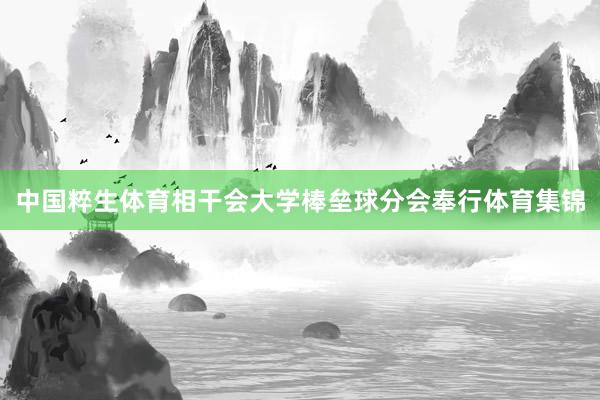 中国粹生体育相干会大学棒垒球分会奉行体育集锦