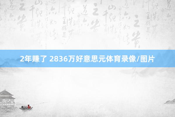2年赚了 2836万好意思元体育录像/图片