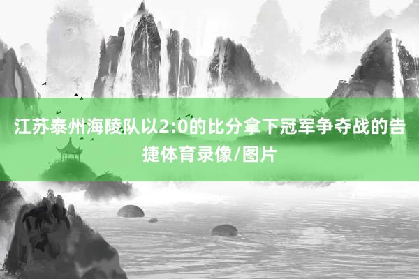 江苏泰州海陵队以2:0的比分拿下冠军争夺战的告捷体育录像/图片