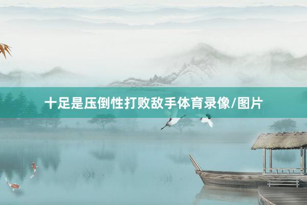 十足是压倒性打败敌手体育录像/图片
