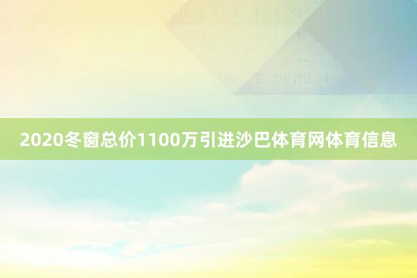 2020冬窗总价1100万引进沙巴体育网体育信息