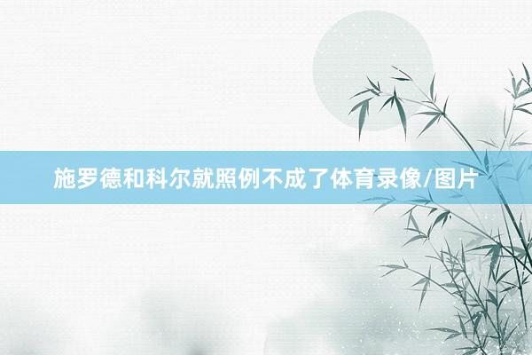 施罗德和科尔就照例不成了体育录像/图片
