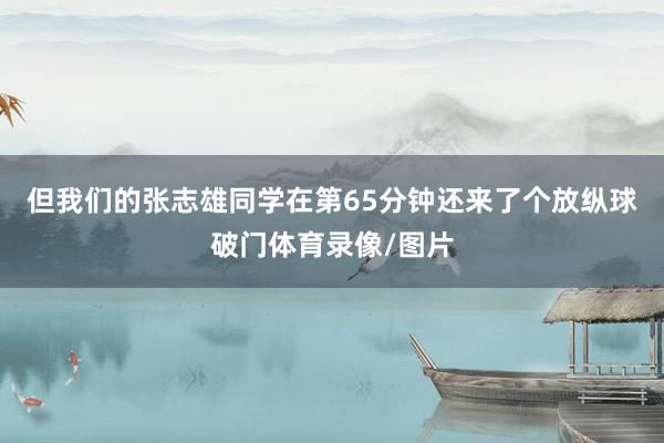 但我们的张志雄同学在第65分钟还来了个放纵球破门体育录像/图片