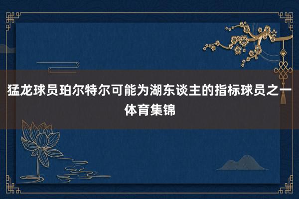 猛龙球员珀尔特尔可能为湖东谈主的指标球员之一体育集锦