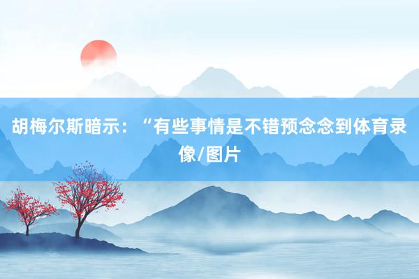 胡梅尔斯暗示：“有些事情是不错预念念到体育录像/图片